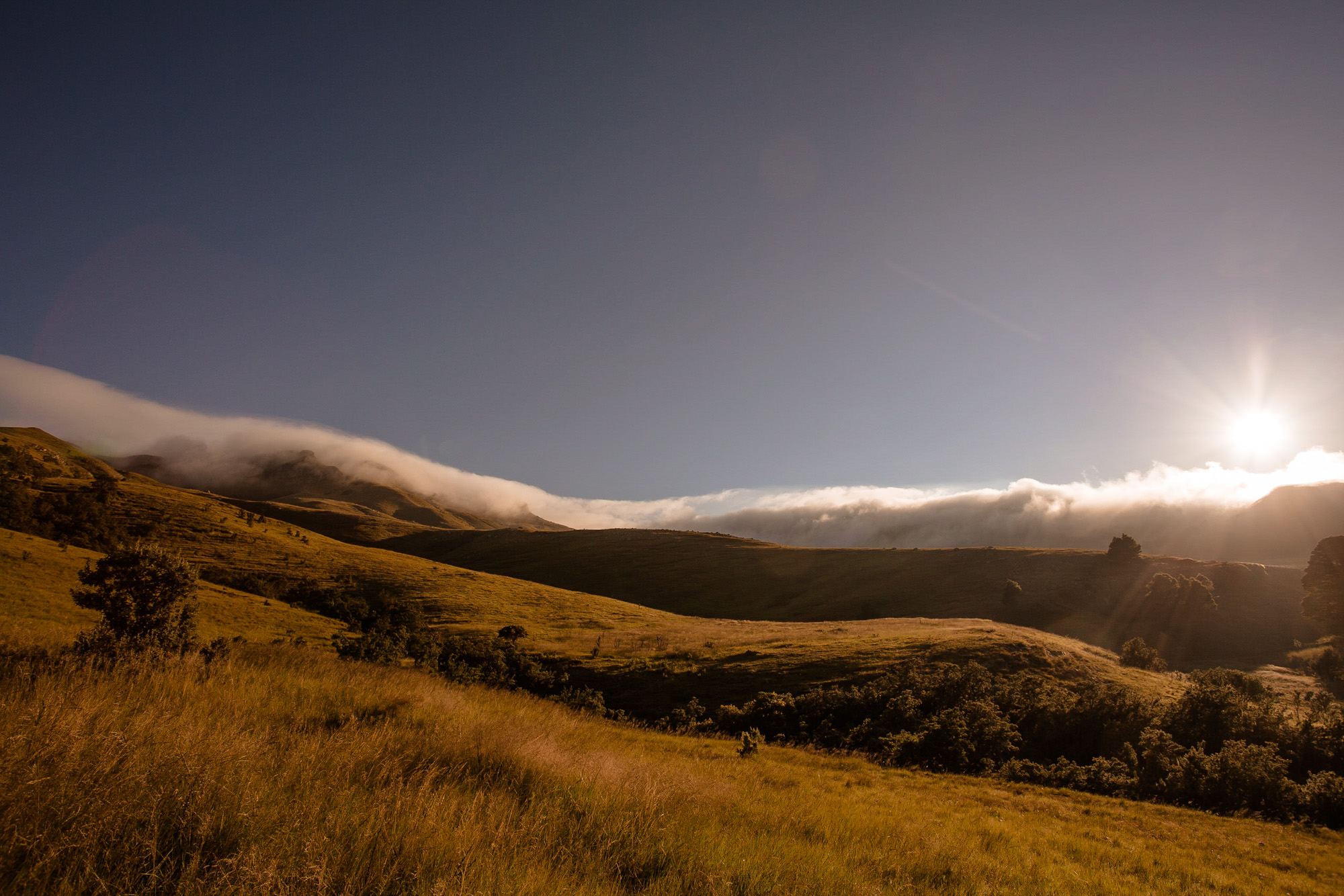 Umngeni Vlei Nature Reserve, KwaZulu Natal