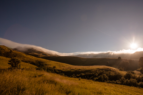 Umngeni Vlei Nature Reserve, KwaZulu Natal