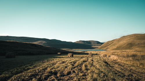 Umngeni Vlei Nature Reserve, KwaZulu Natal