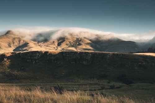 Umngeni Vlei Nature Reserve, KwaZulu Natal