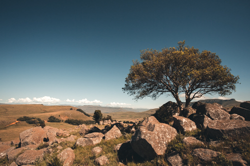 Umngeni Vlei Nature Reserve, KwaZulu Natal