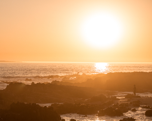 The city of Cape Town has so many different faces. Being named as a Rainbow Nation, this term by Desmond Tutu becomes so true in the Western Cape.